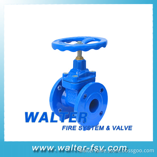 DIN Cast Iron Flange Gate Valve